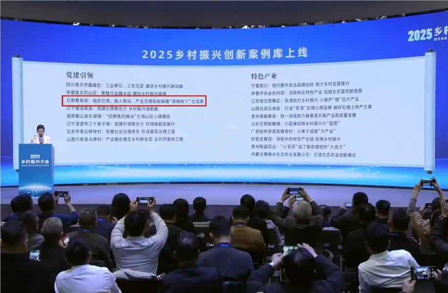 保利122cc太阳集成游戏案例入选人民网“2025村落振兴创新案例库”